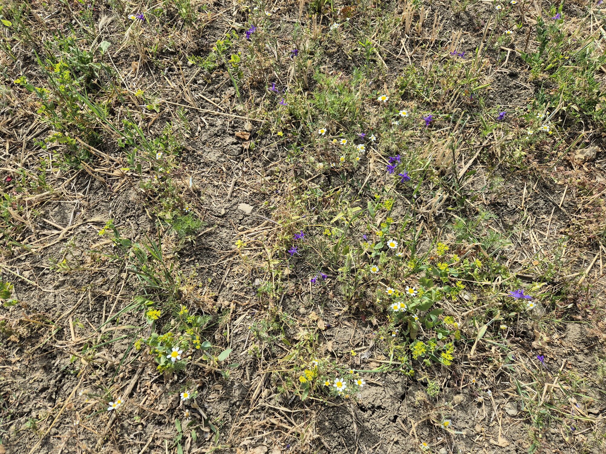 20260704_163915.jpg