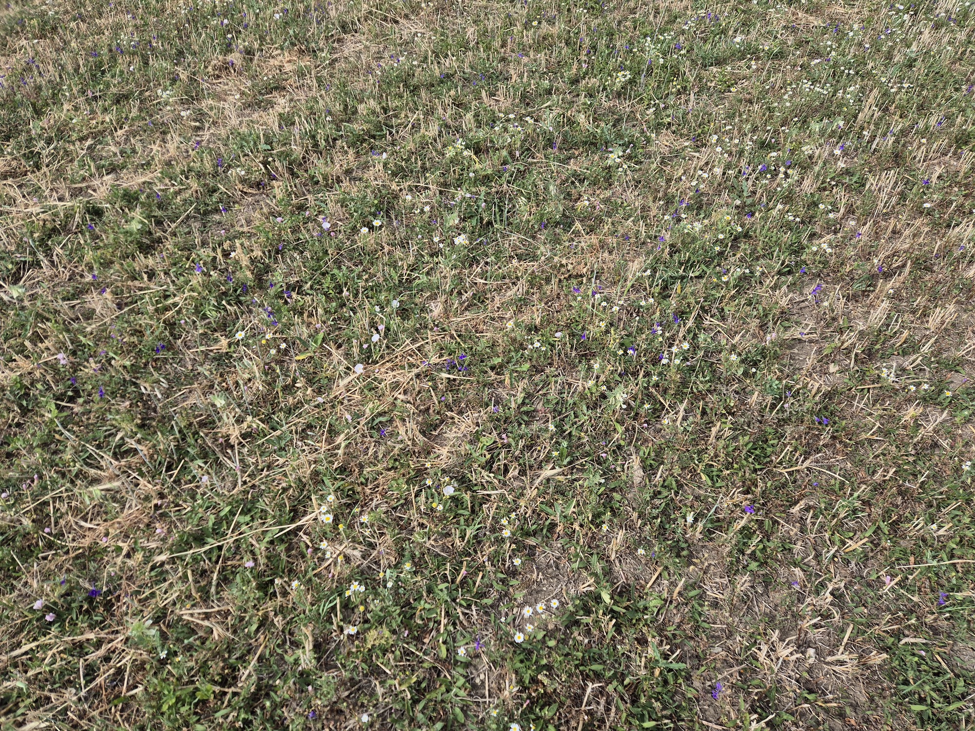 20260704_165114.jpg