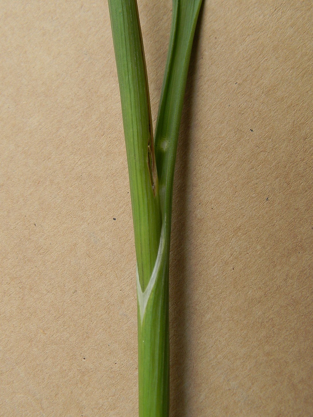 DSCN2165.JPG