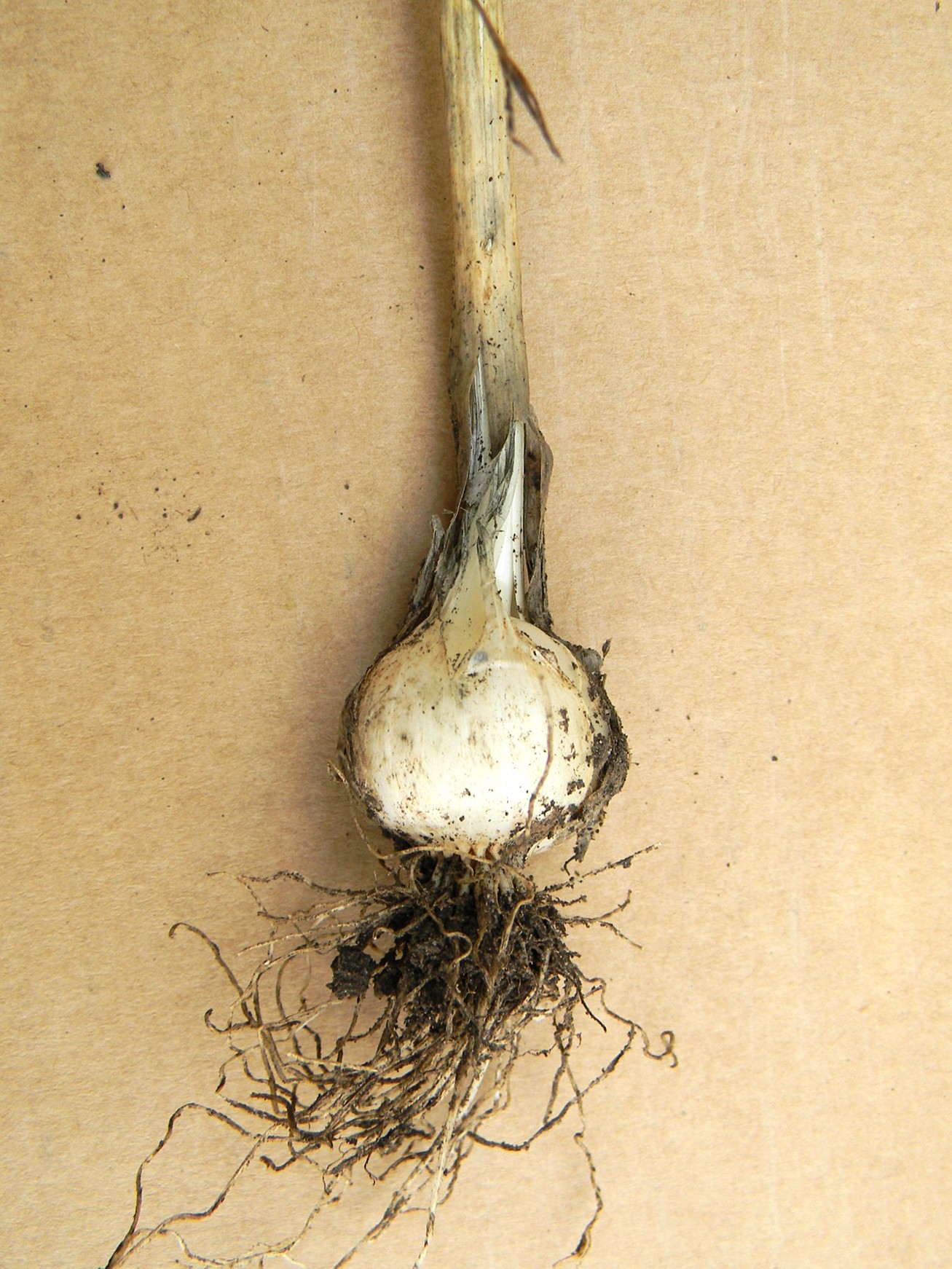 DSCN2166.JPG