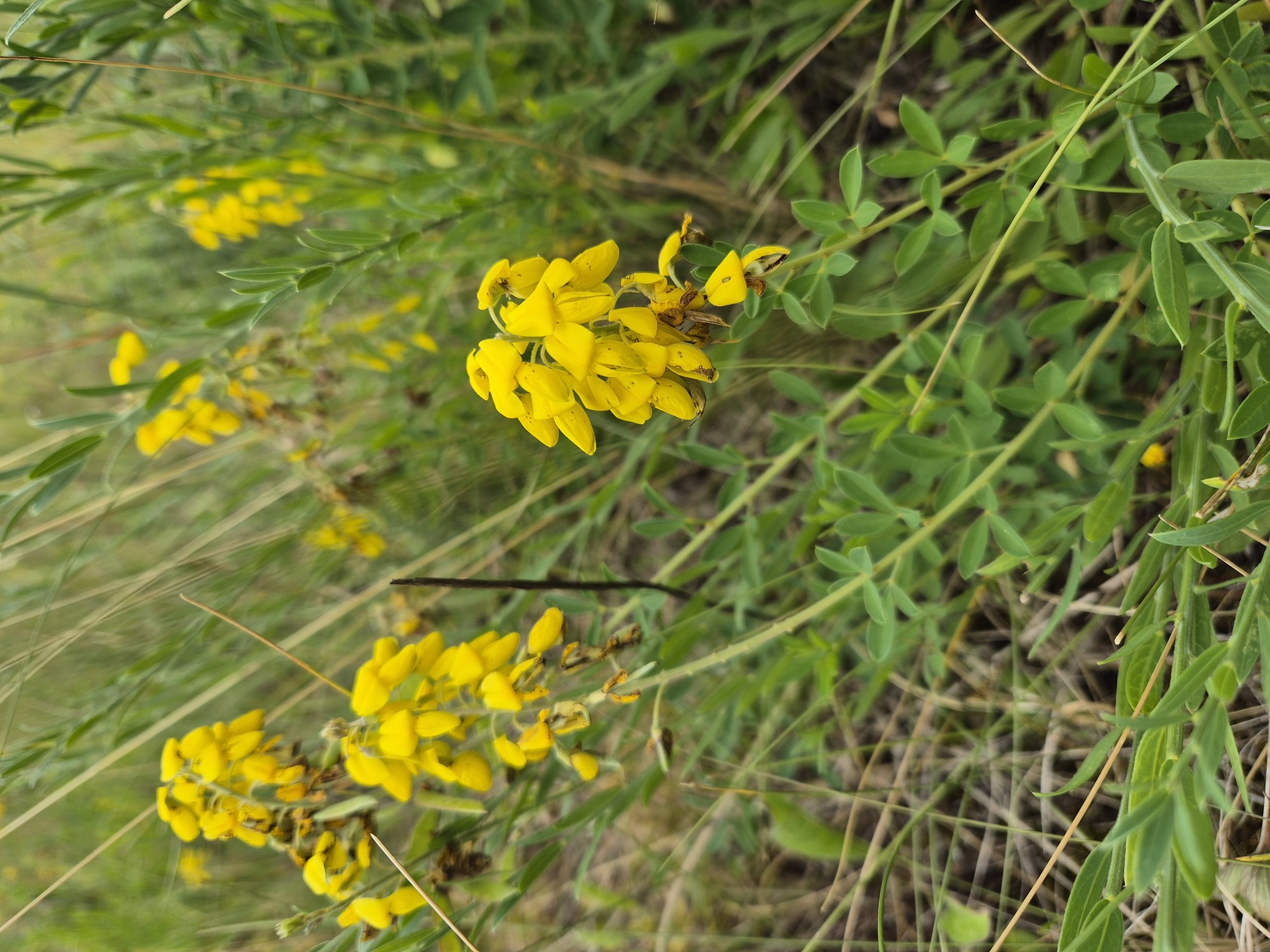 20260712_105144.jpg