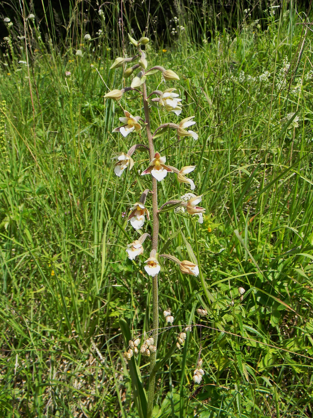 DSCN2204.JPG