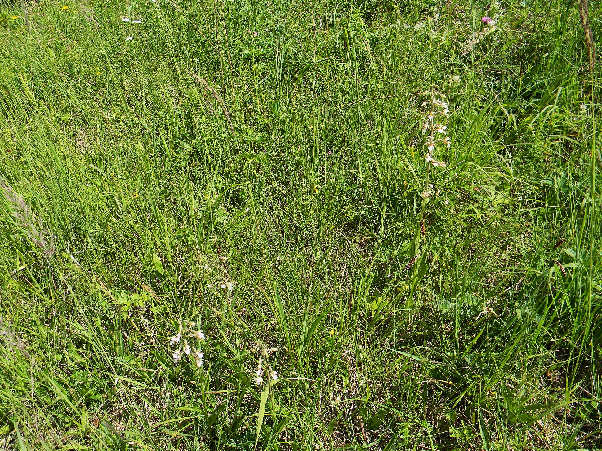 DSCN2207.JPG