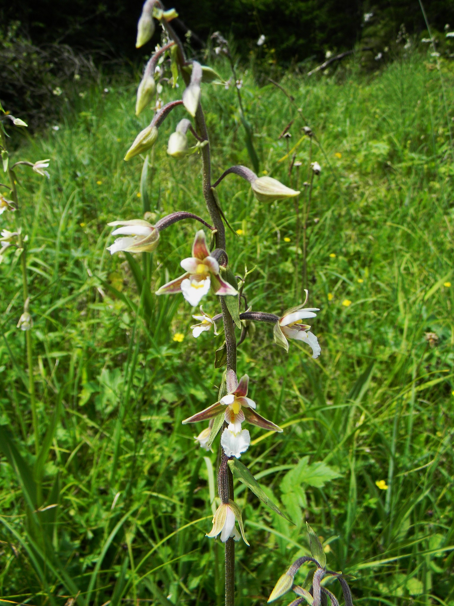 DSCN2230.JPG