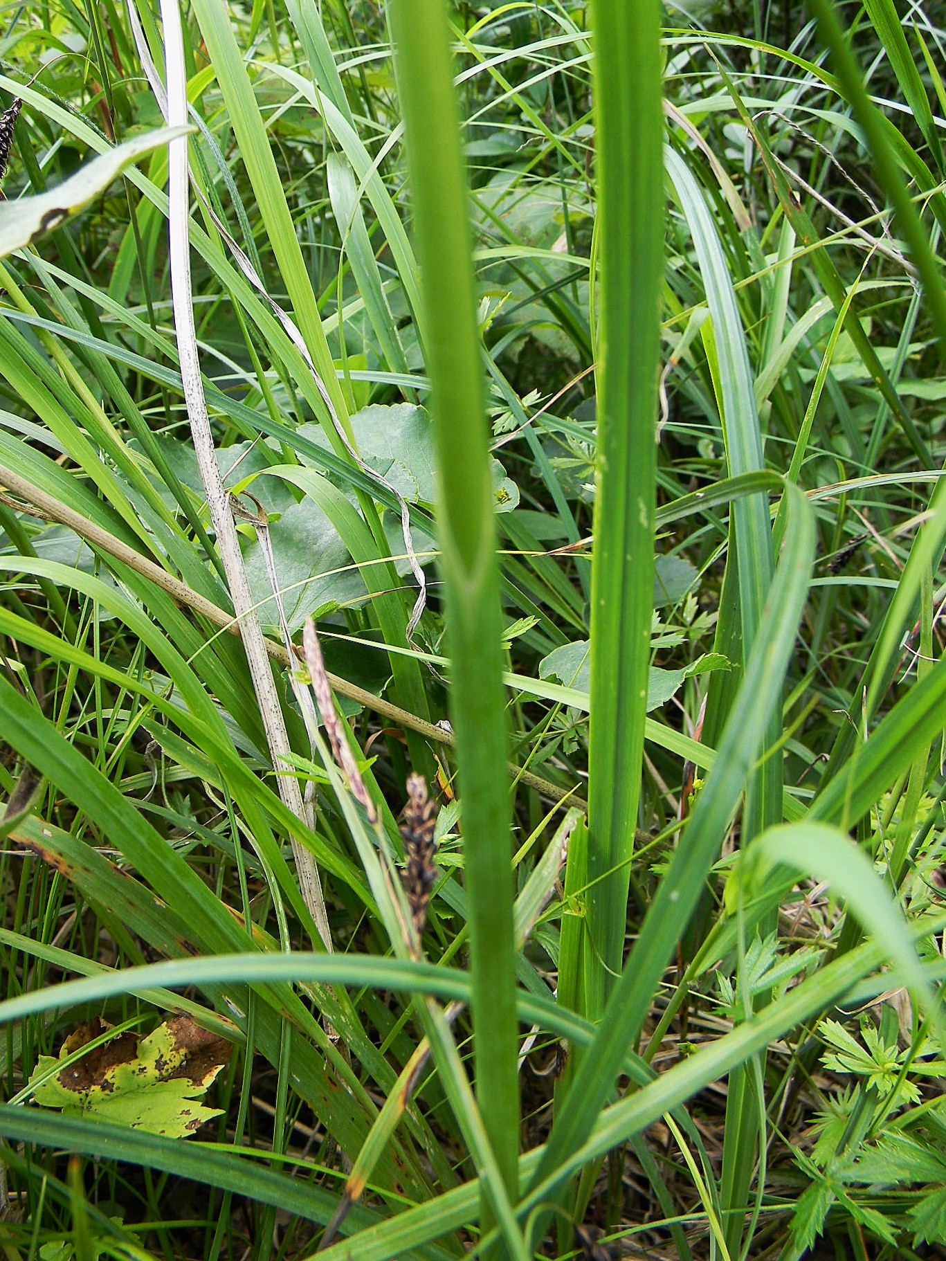 DSCN2255.JPG