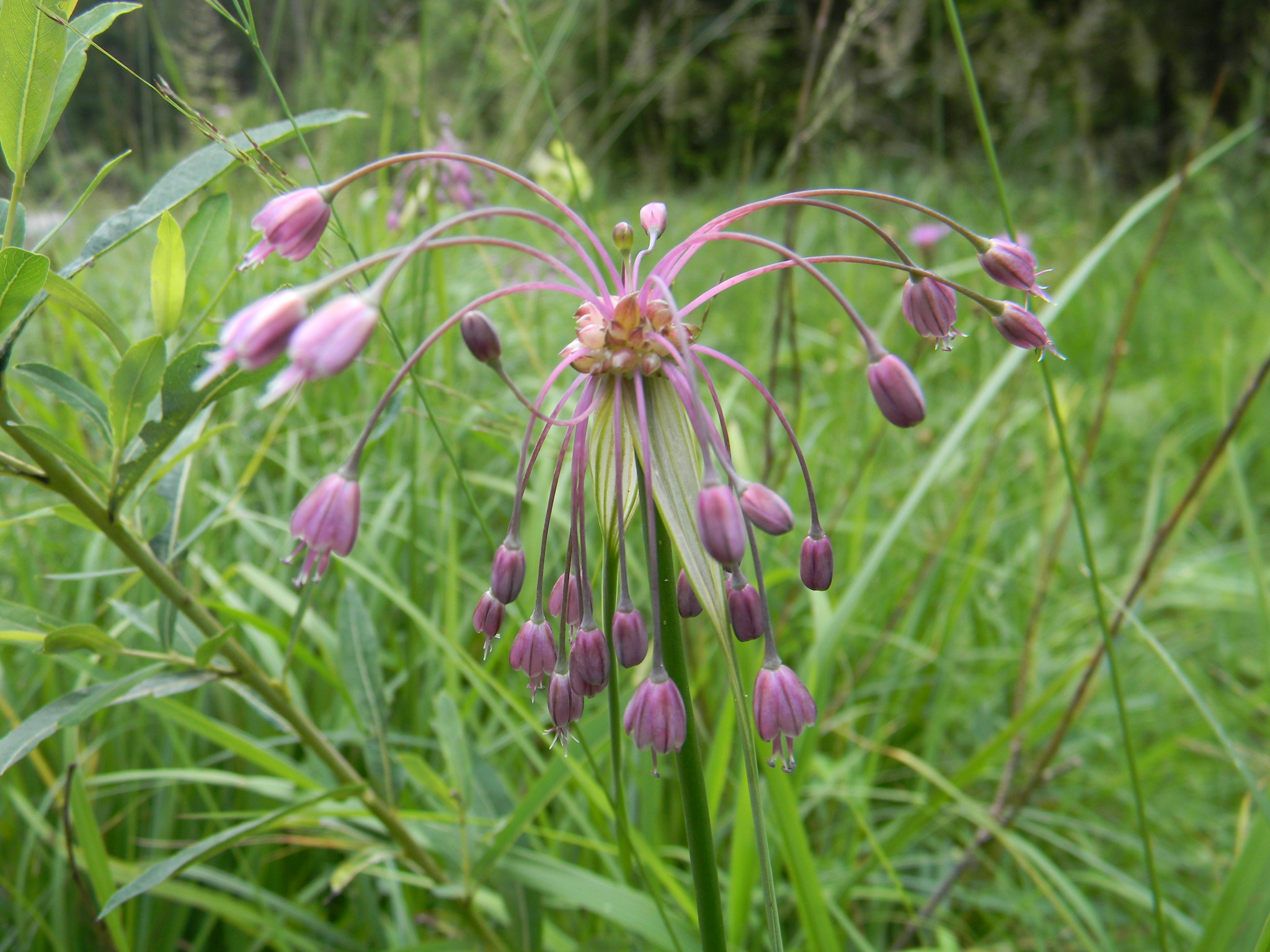 DSCN2257.JPG