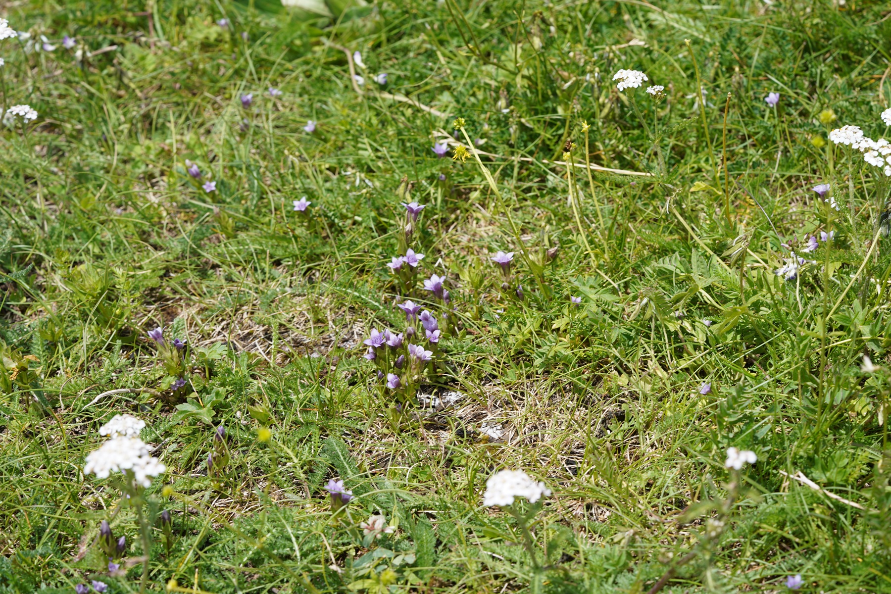 DSC03158.JPG