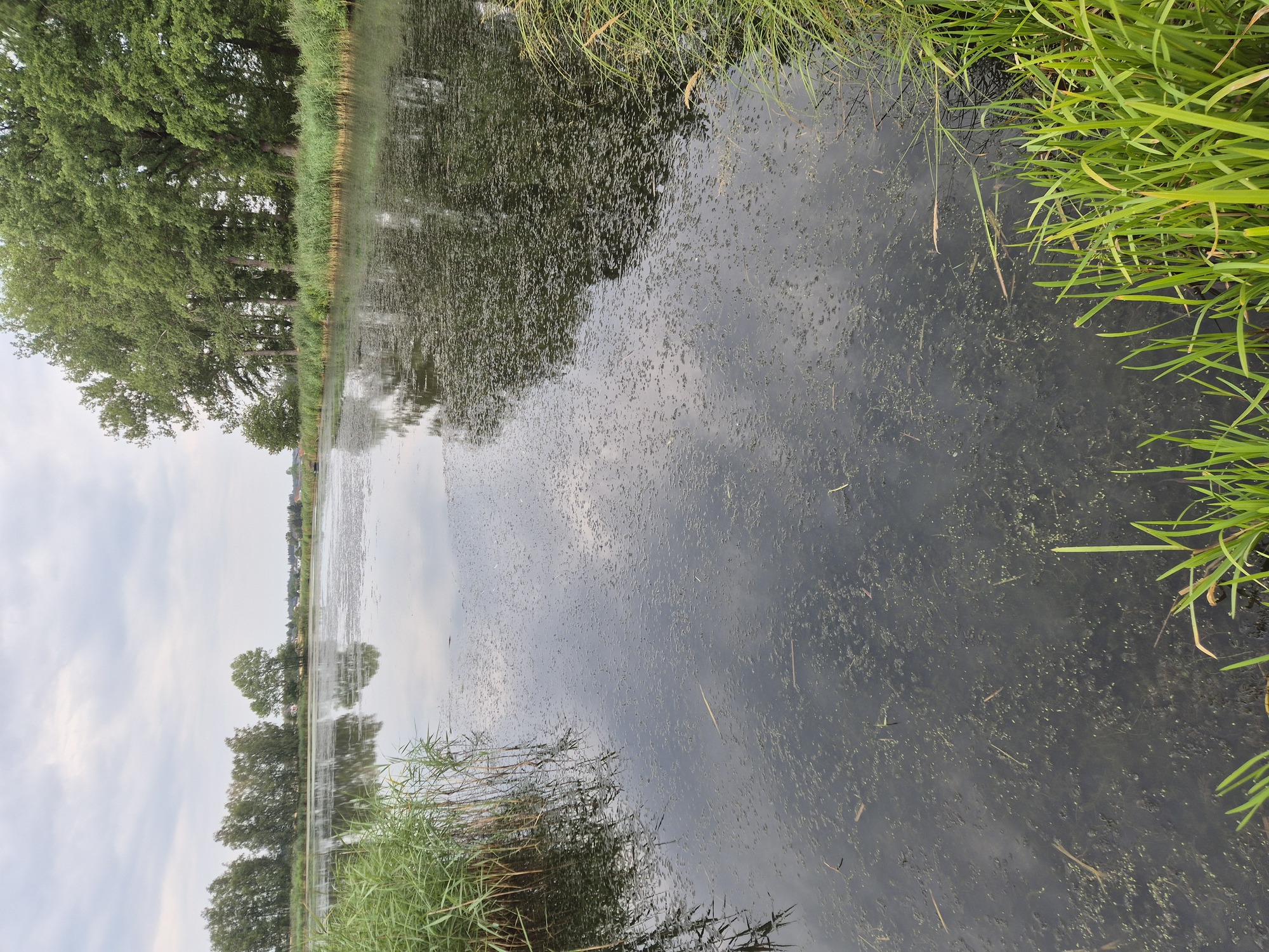 20260726_162406.jpg