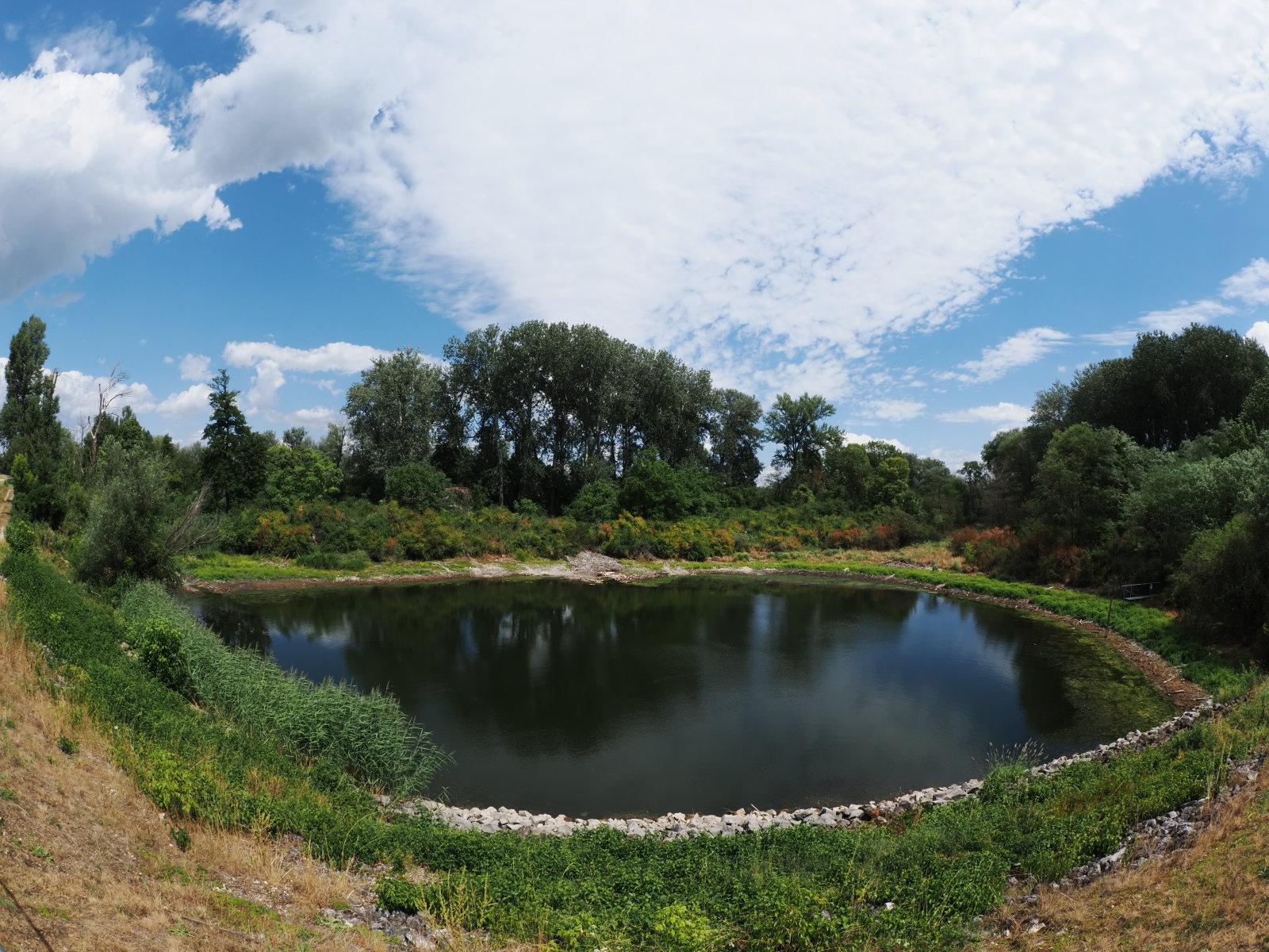 20260718_P7182563_1465_Lobau_Schwarzes_Loch.jpg