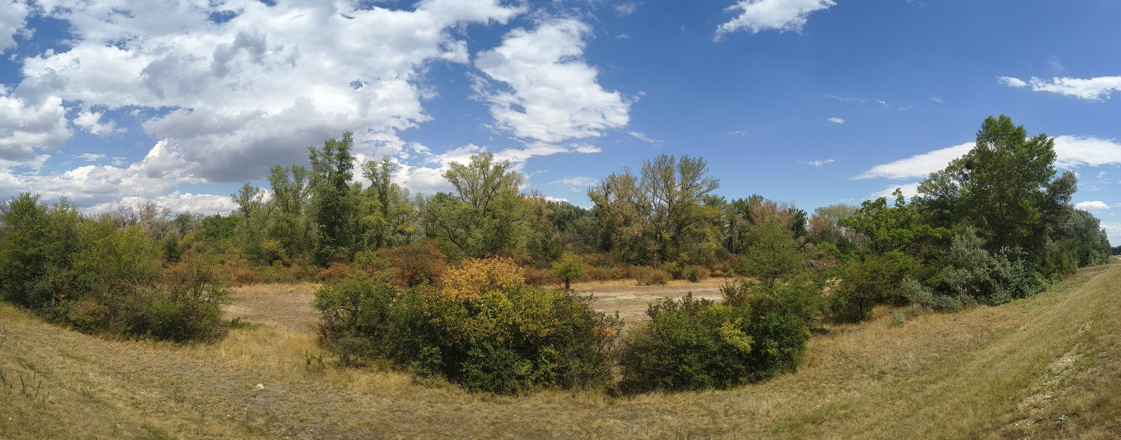 IMG_20260718_130345693_Handy_panorama.jpg