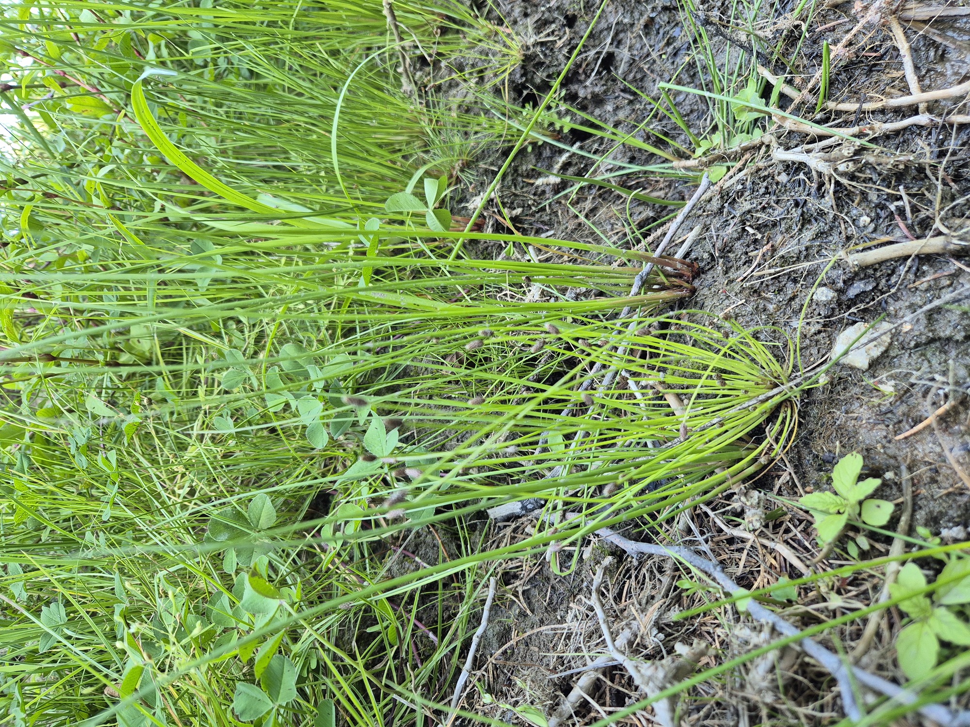 20260725_155746.jpg