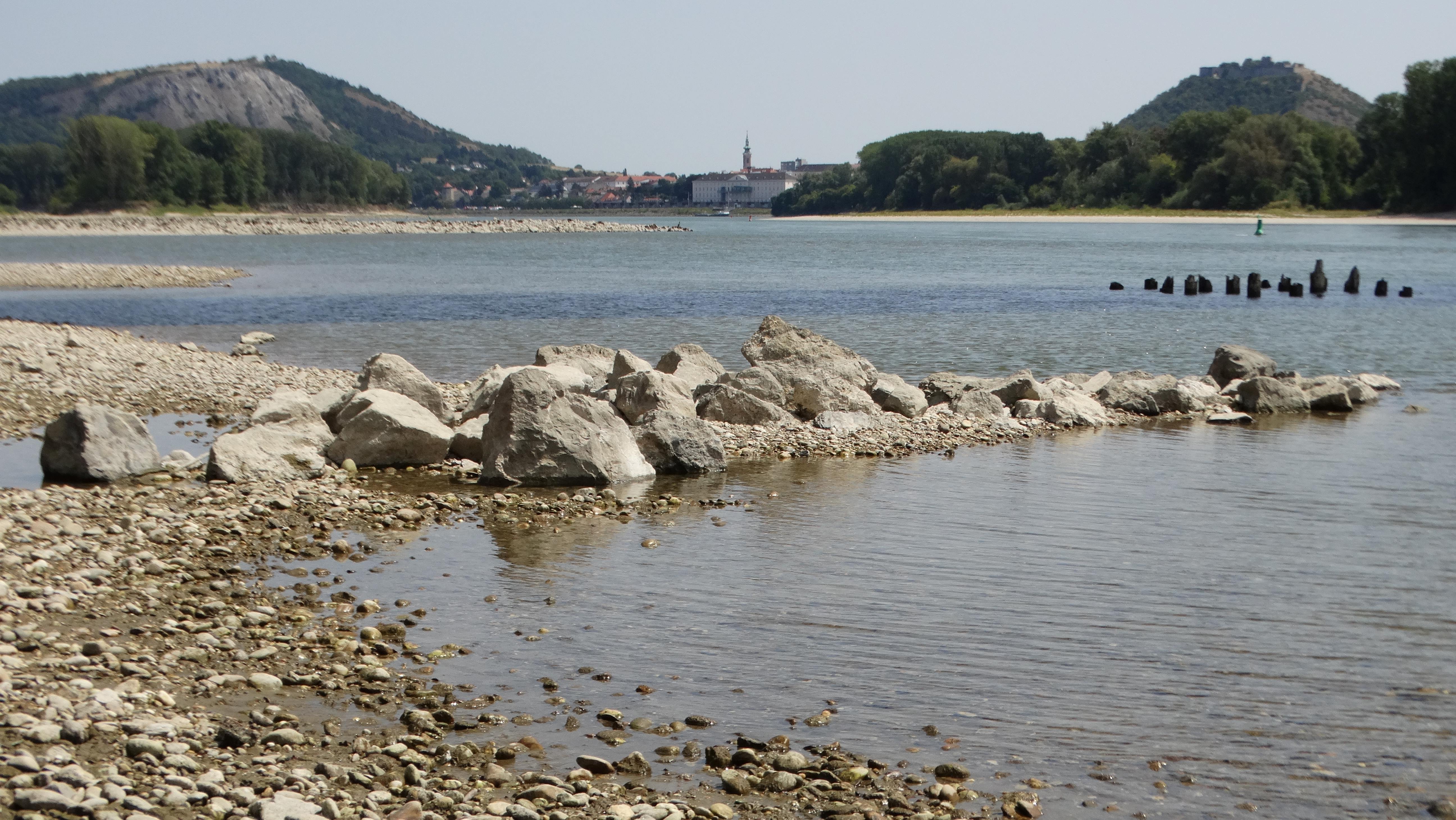 DSC05822 2026-07-26 donau stopfenreuth.jpg