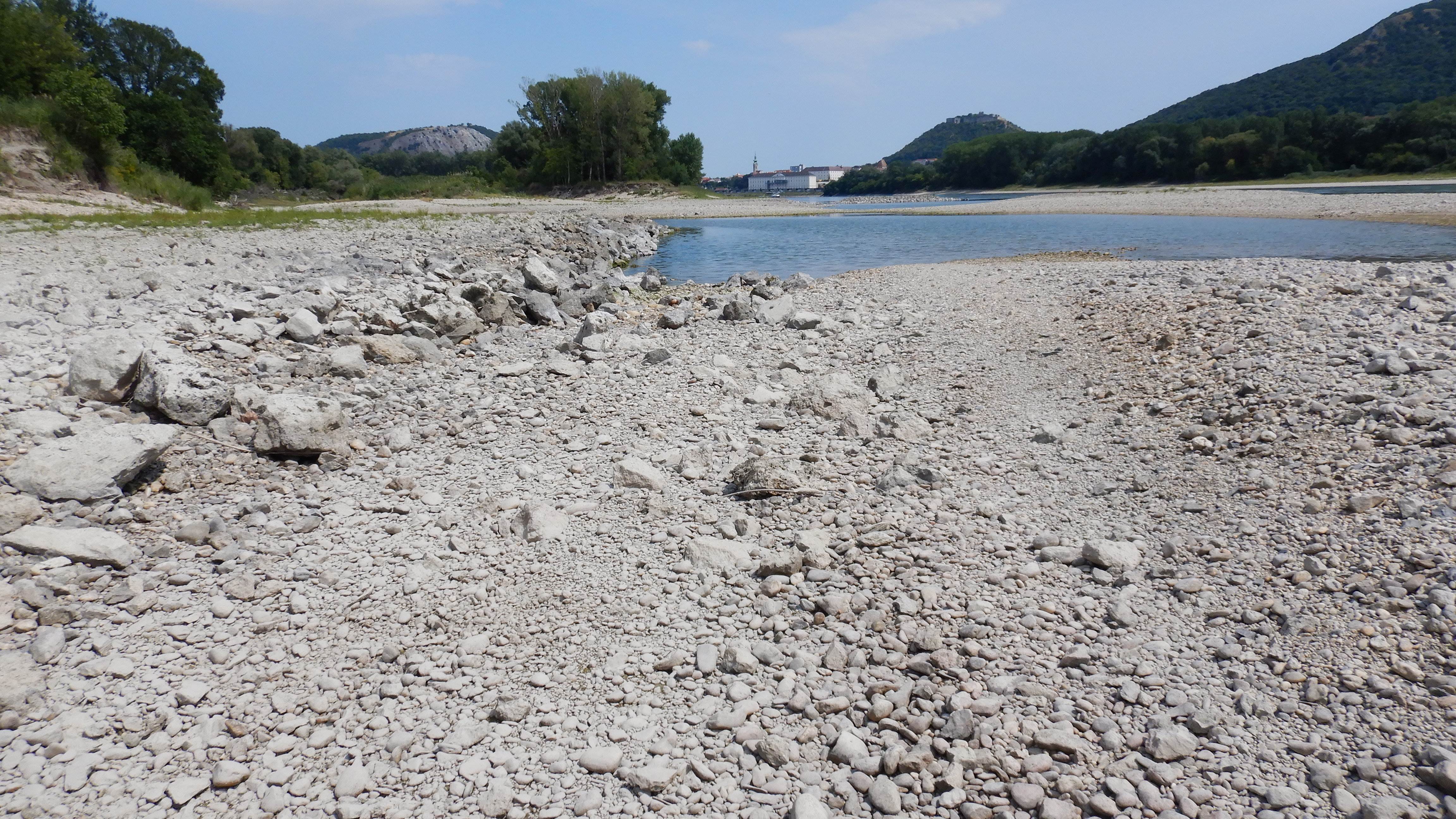 DSCN4228 2026-07-26 donau stopfenreuth.jpg