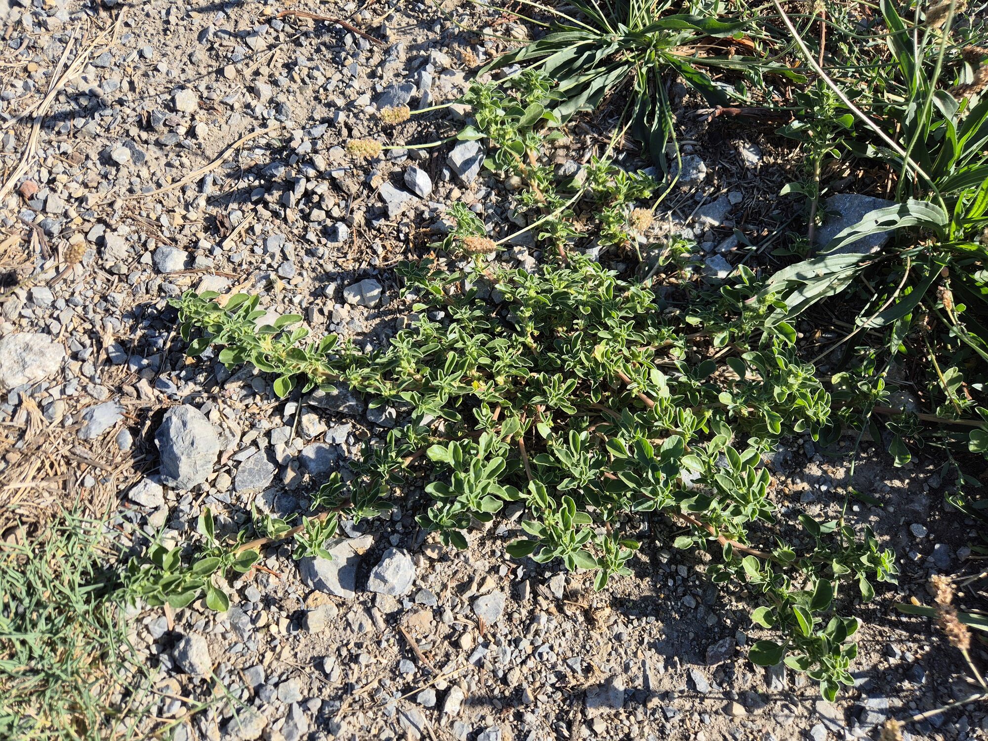 20260814_171641.jpg