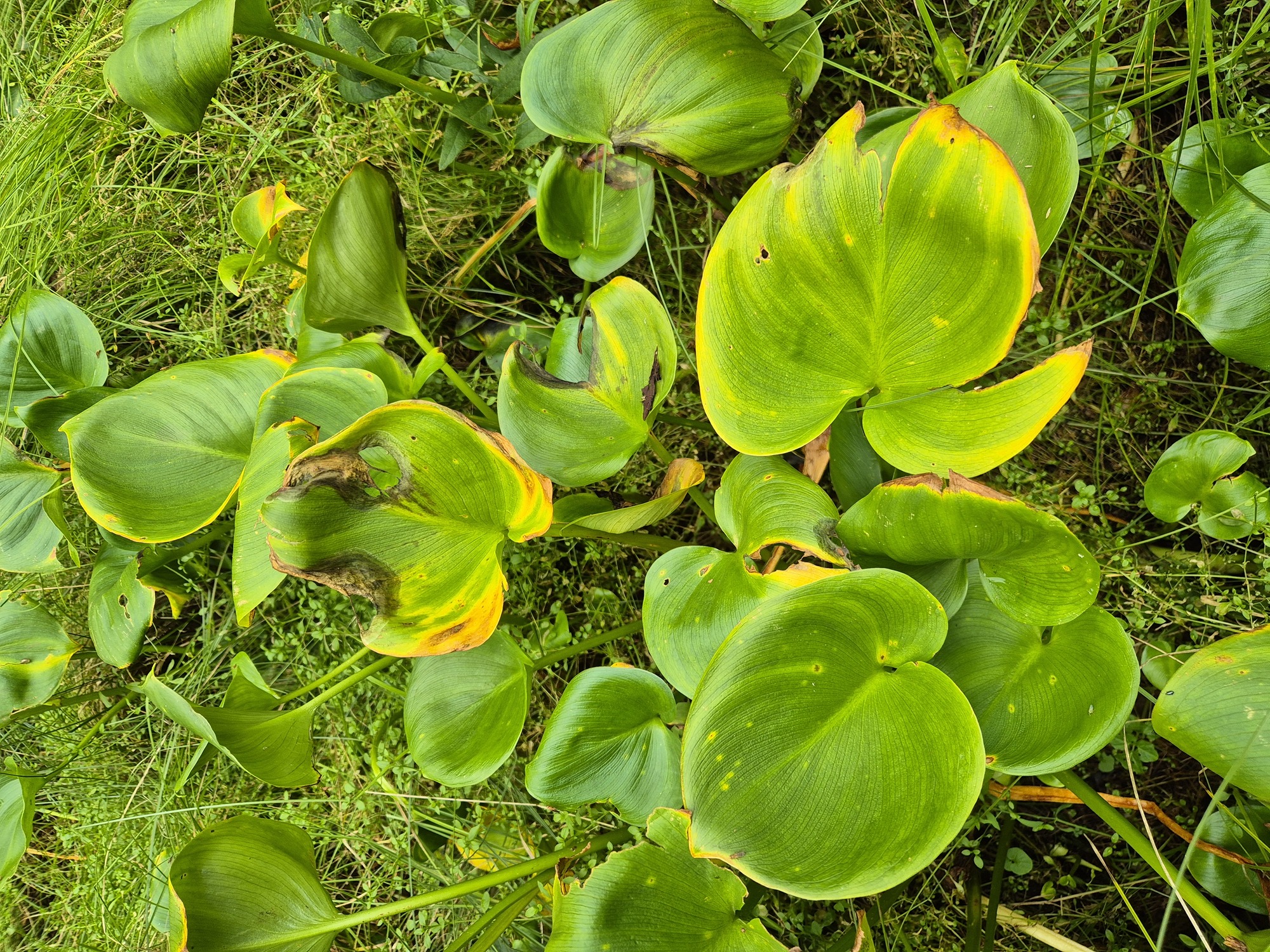 20260820_125135.jpg