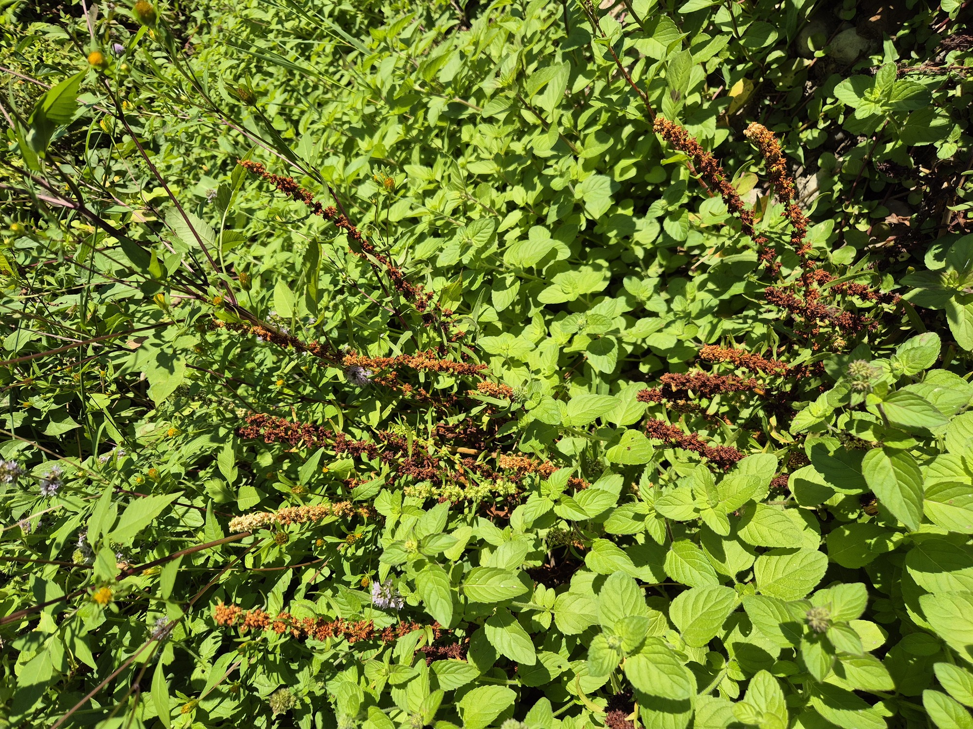 20260830_094629.jpg