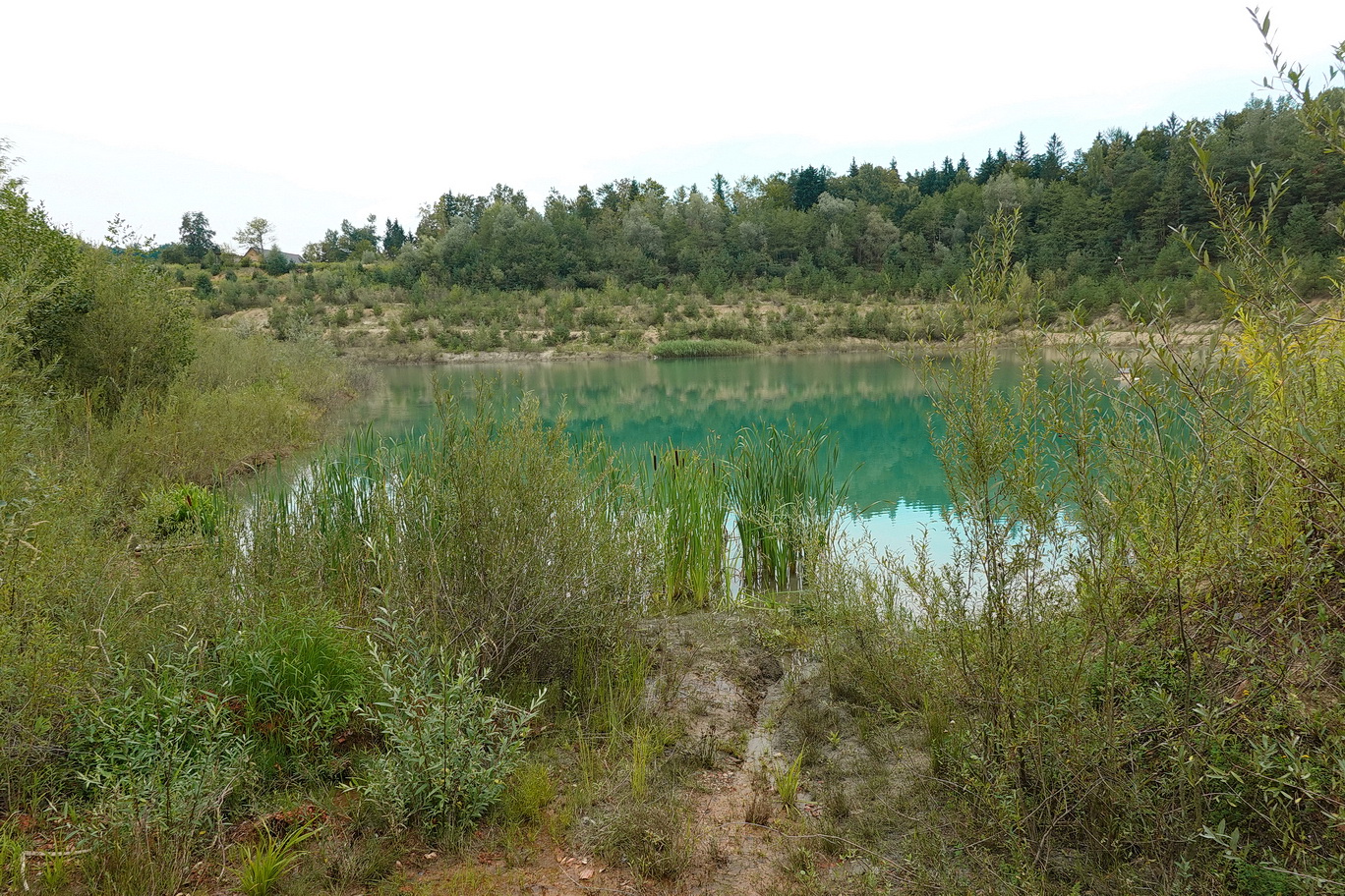 Graschach-Ziegelteiche.b.Gleinstätten.28.Aug.26.JPG