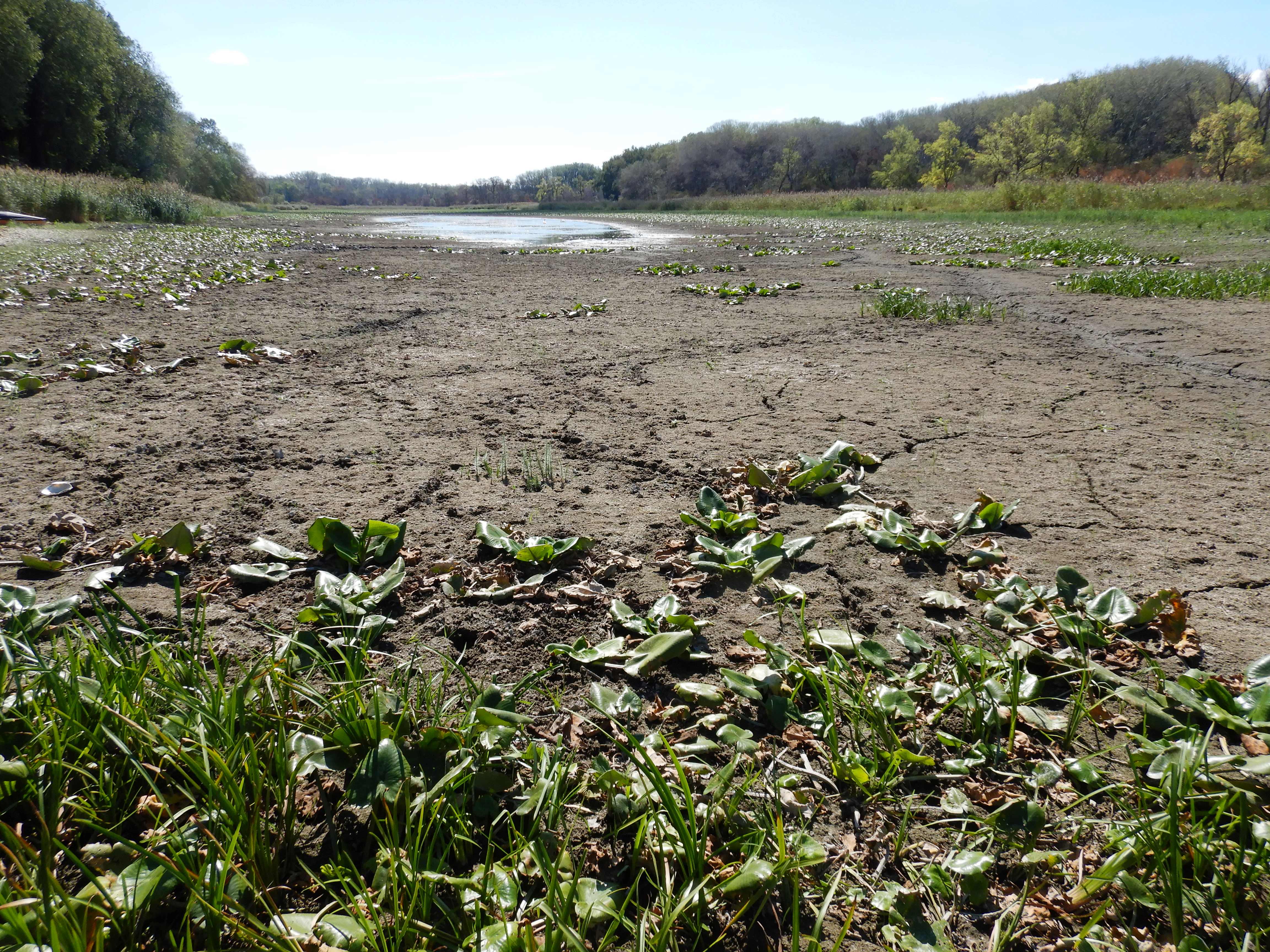 DSCN7966 2026-09-06, Kühwörther Wasser bei Mühlleiten.jpg