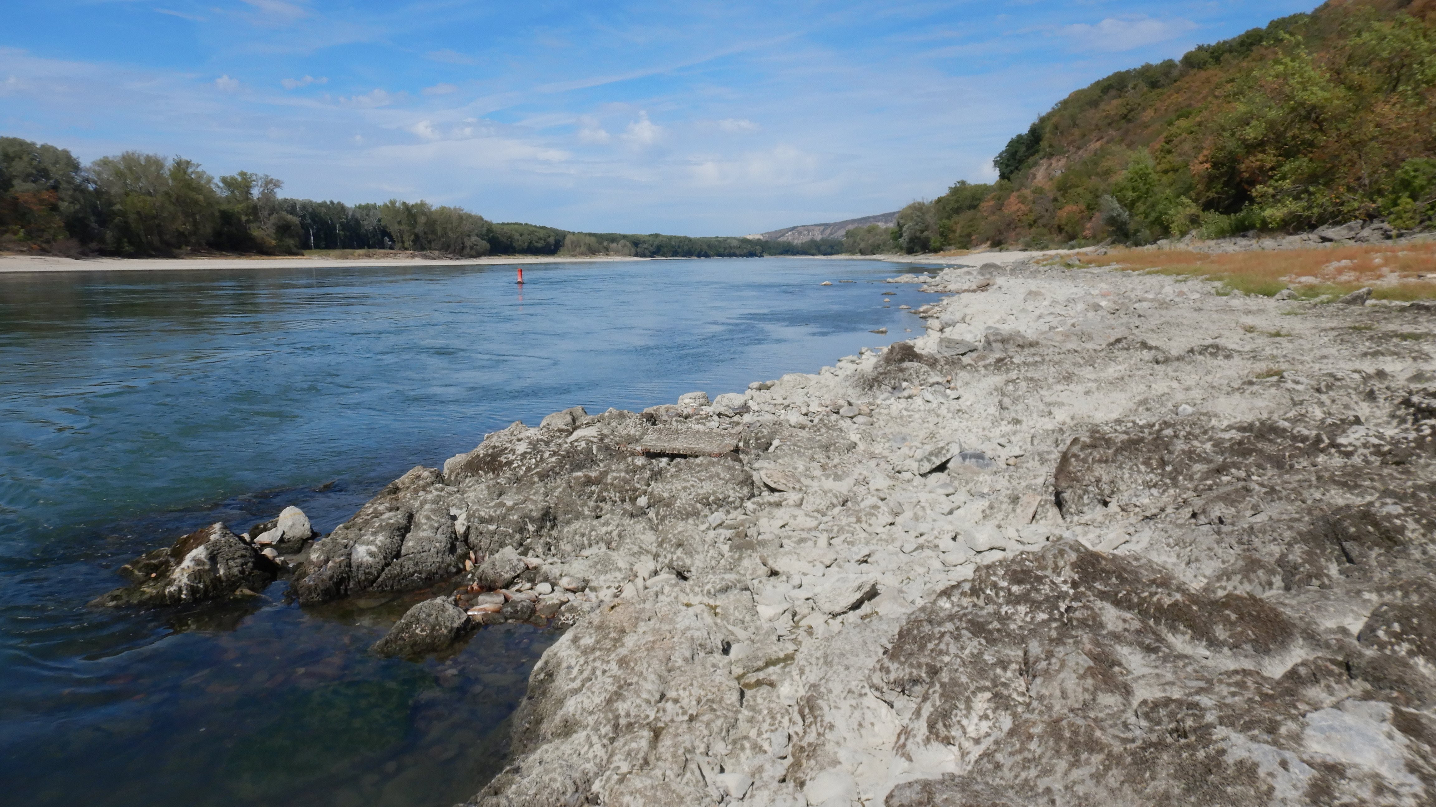 DSCN8710 2026-09-08 donau hainburg.jpg