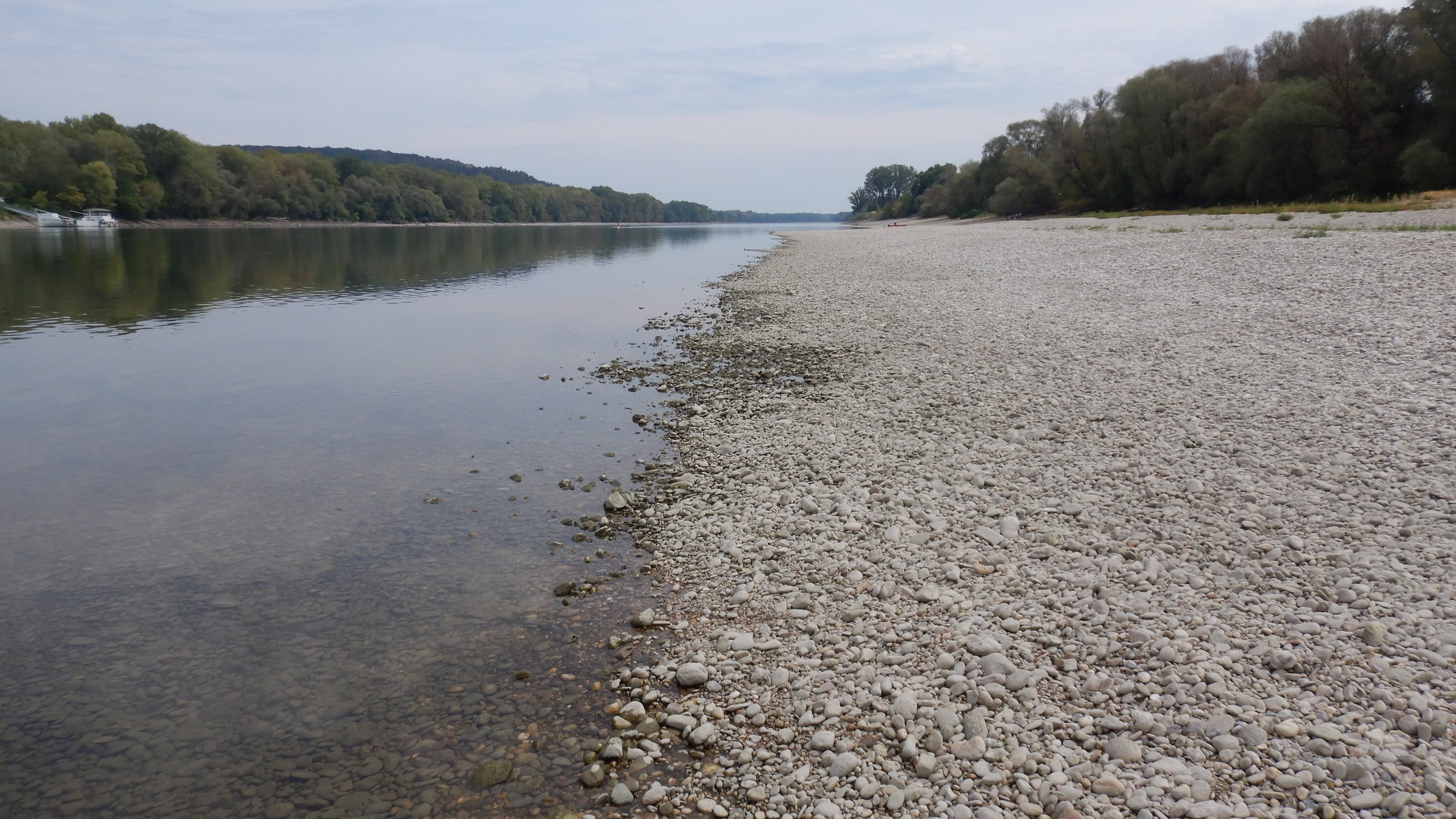 DSCN9095 2026-08-17 donau unterhalb hainburg.jpg