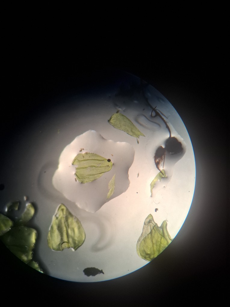 20260914_121913.jpg