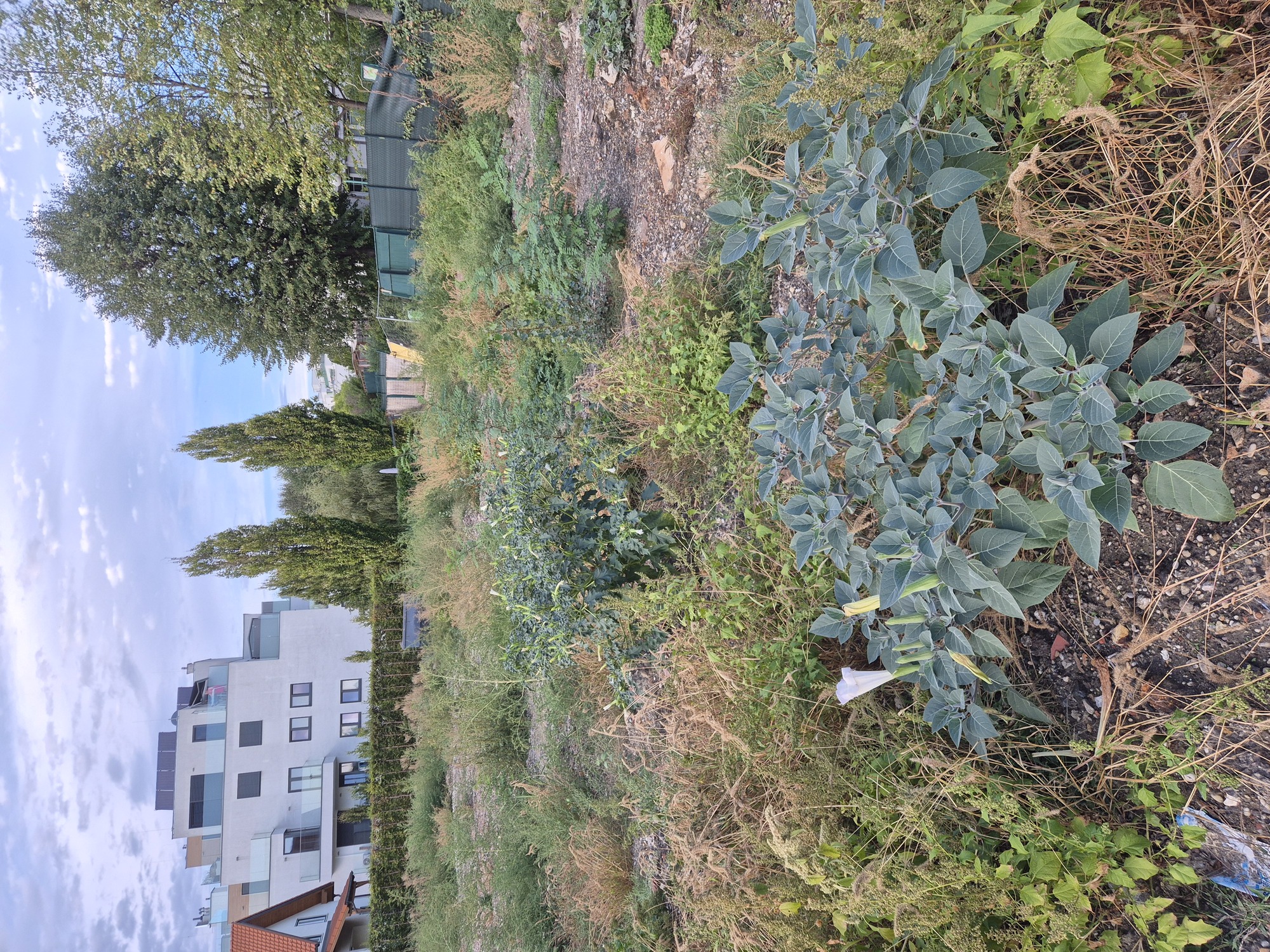 20260916_182856.jpg