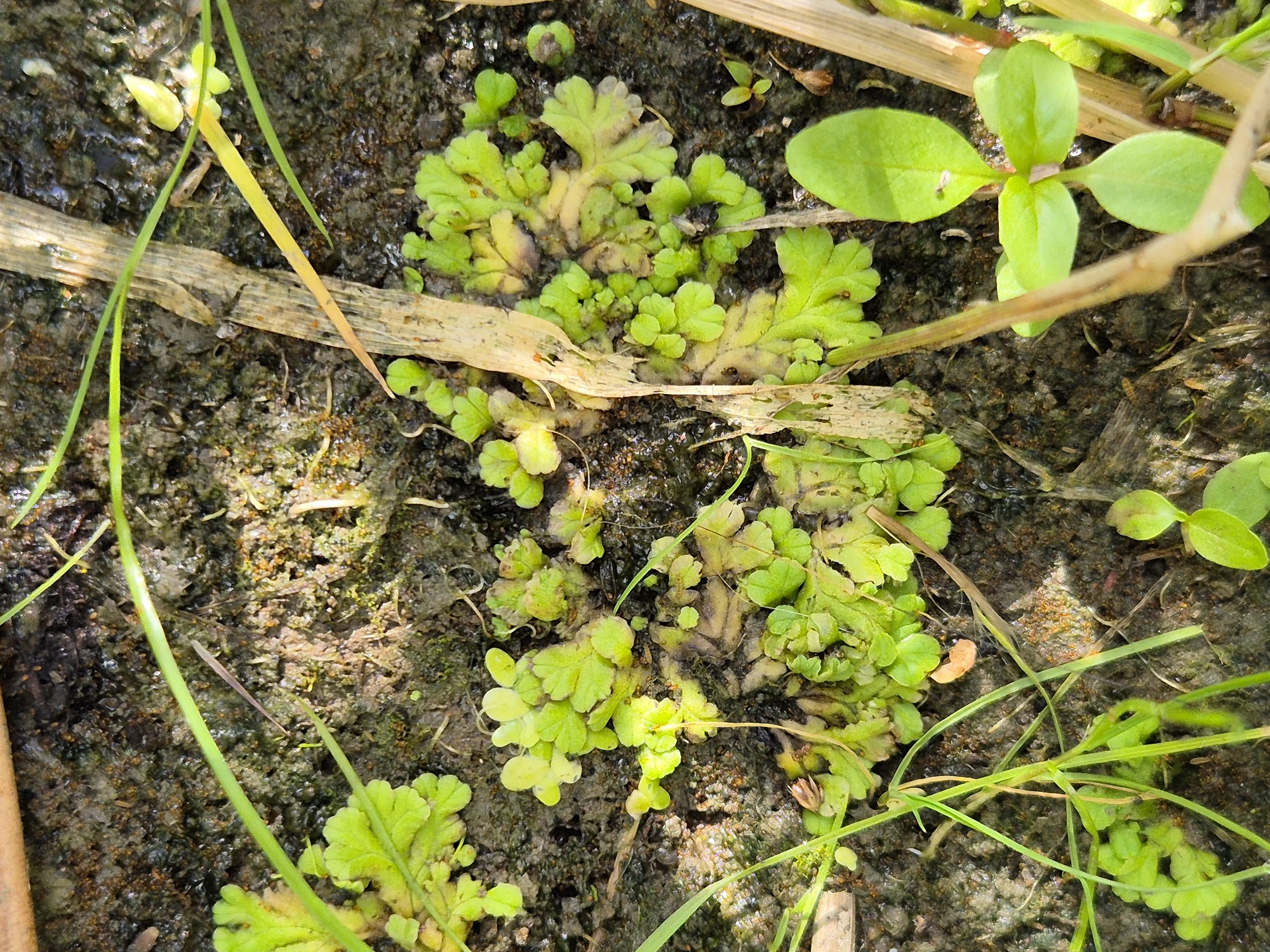 20260819_164354.jpg