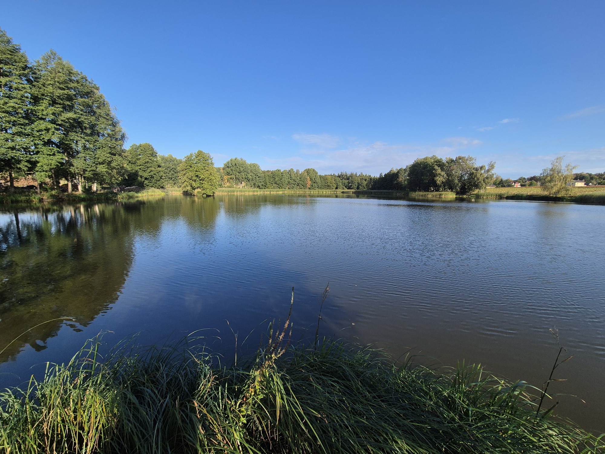 20260912_082409.jpg