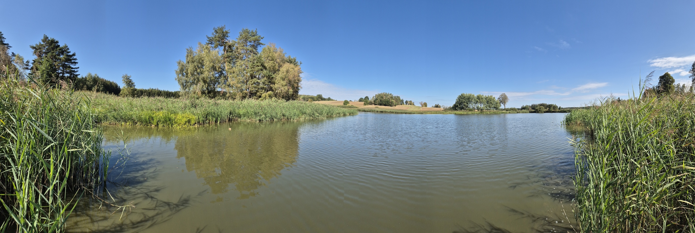 20260912_105450.jpg