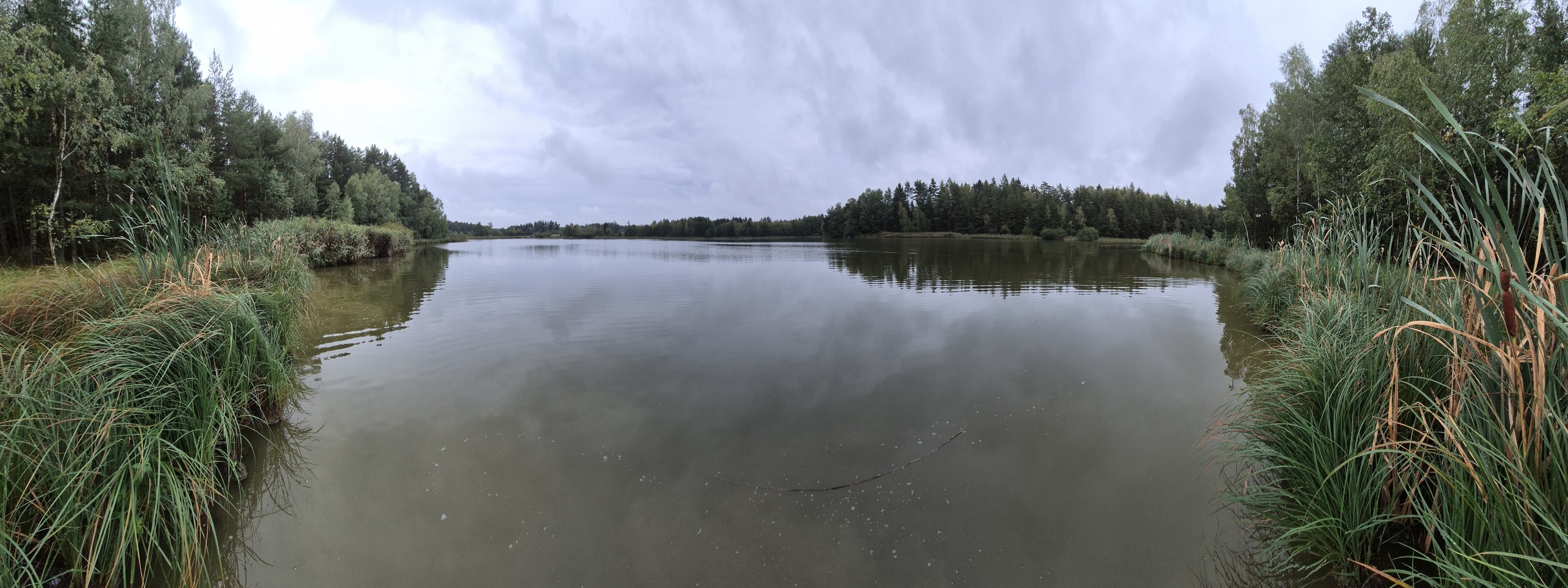 20260911_100556.jpg