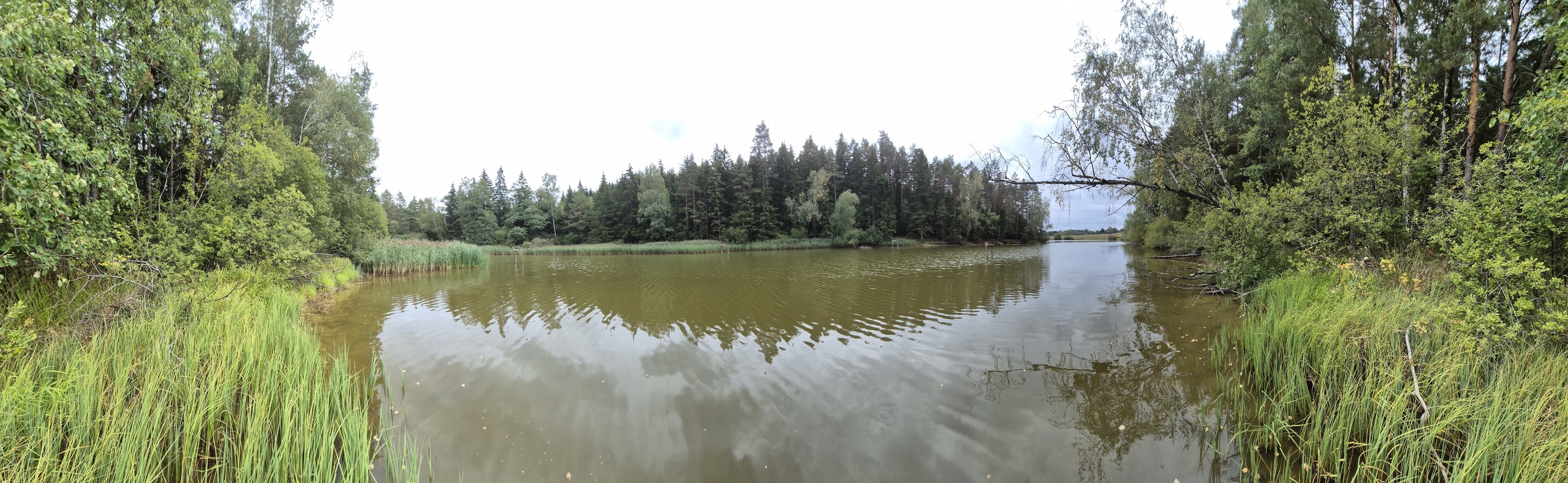 20260911_142641.jpg