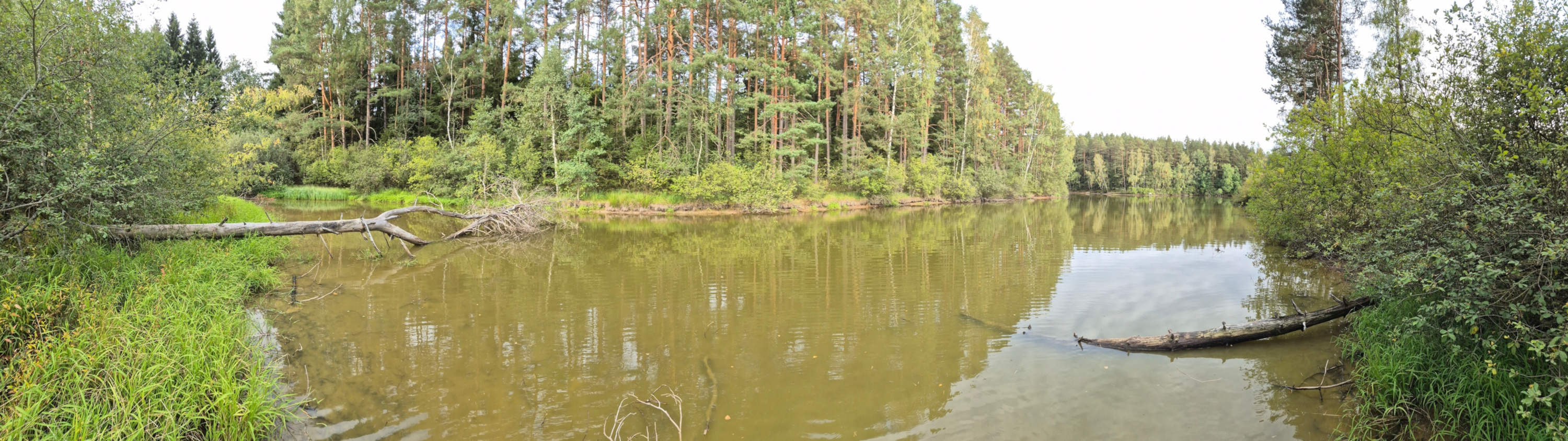 20260911_170440.jpg