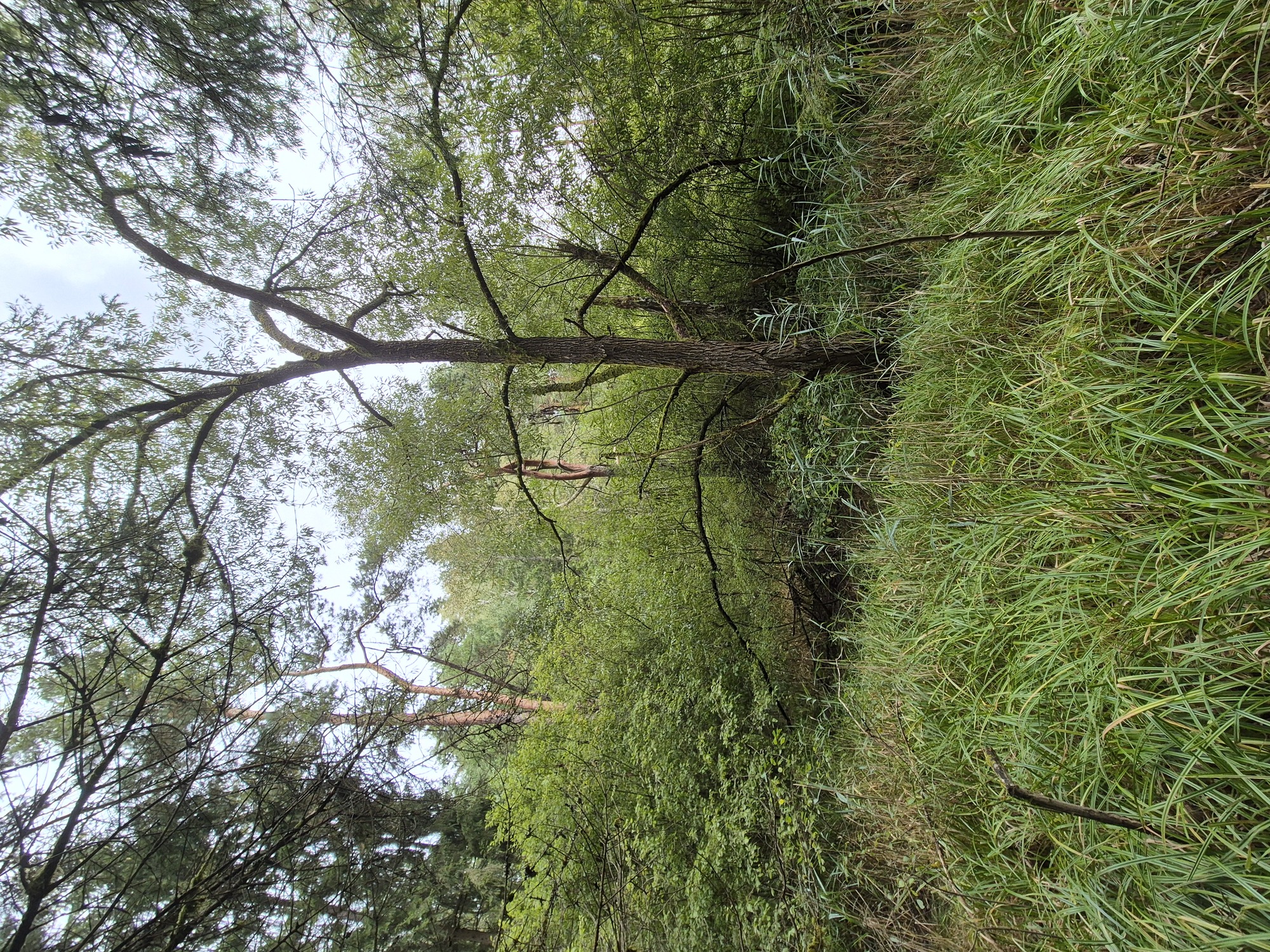 20260911_142042.jpg
