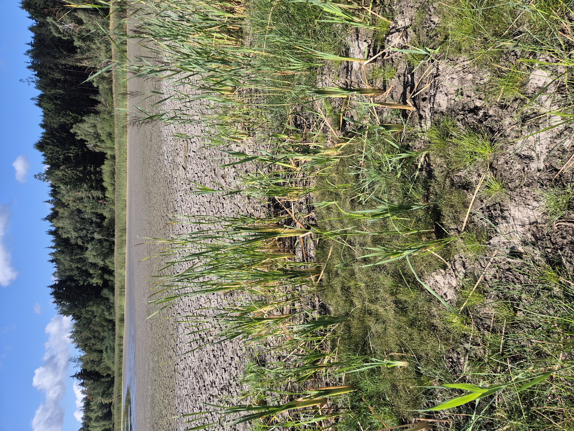 20260822_103305.jpg