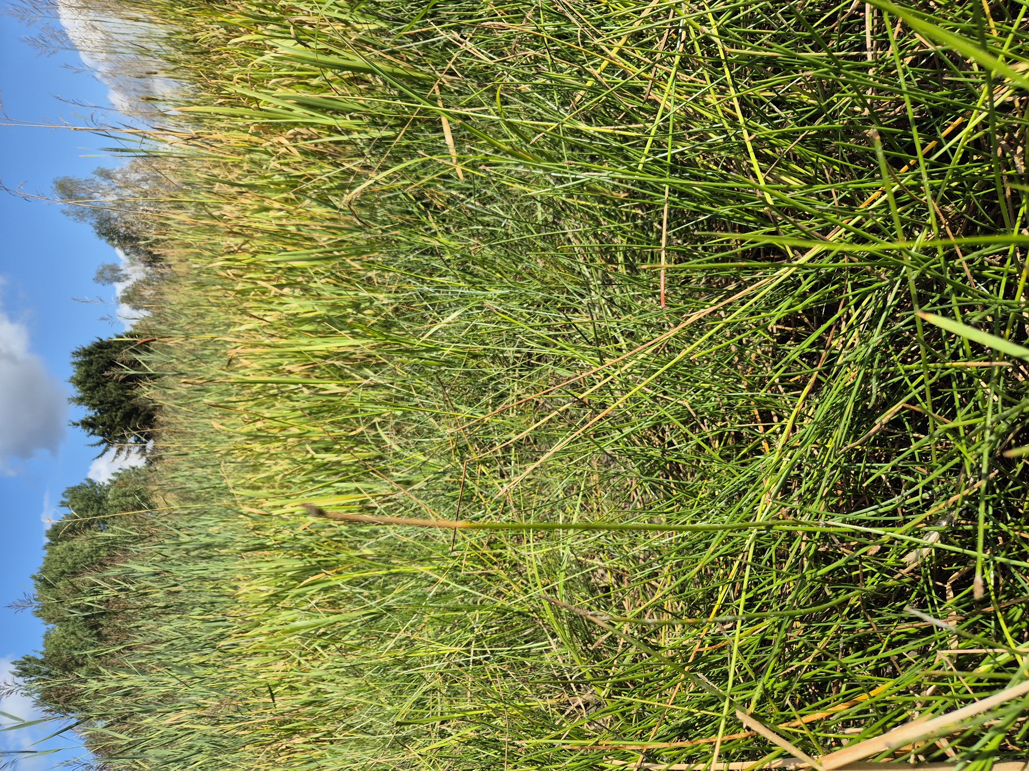 20260822_103652.jpg