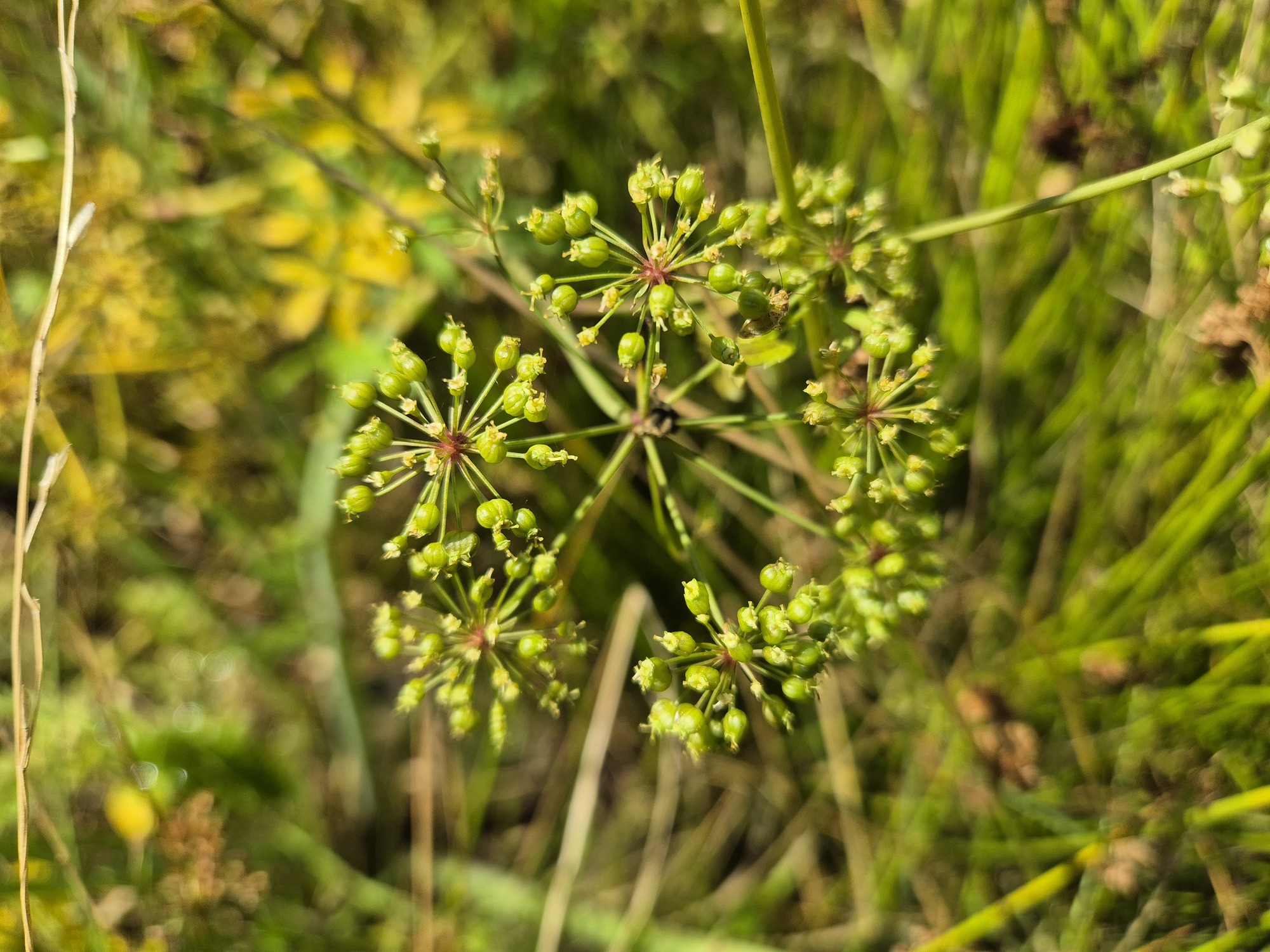 20260820_115444.jpg