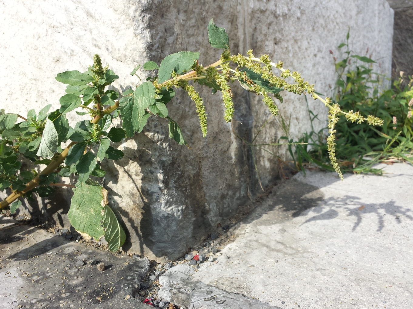 20180801_172303.jpg