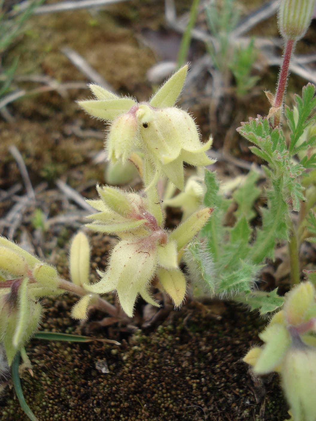 keine Ahnung Iran-Museumsgelände.Hegmatane.3.Mai.2018.JPG