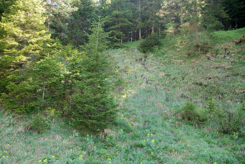 Kernhof - Gscheid-12052018-(21).JPG