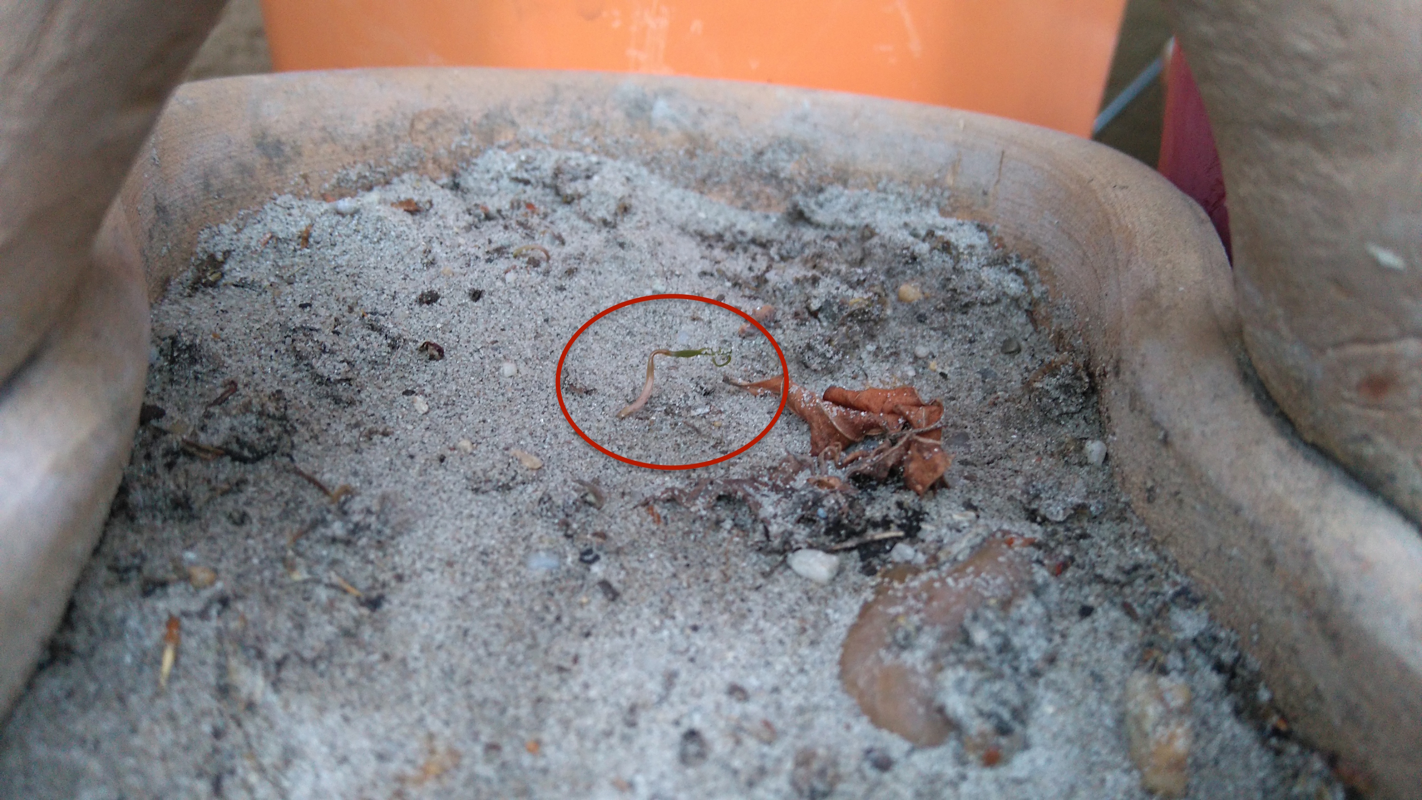 01 Mai_d2_DSC_8056.JPG