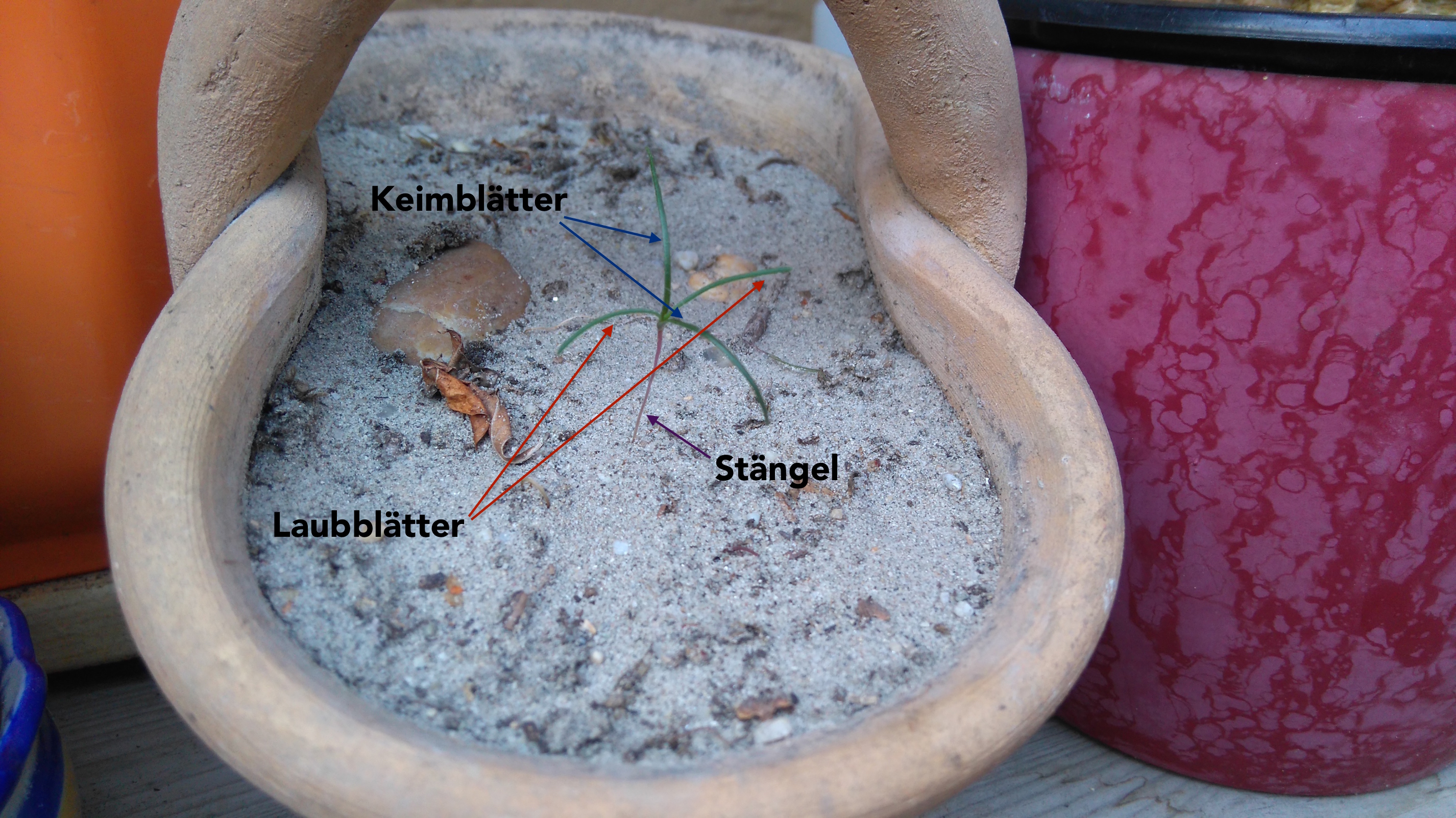 16 Mai_d17_DSC_8364.JPG