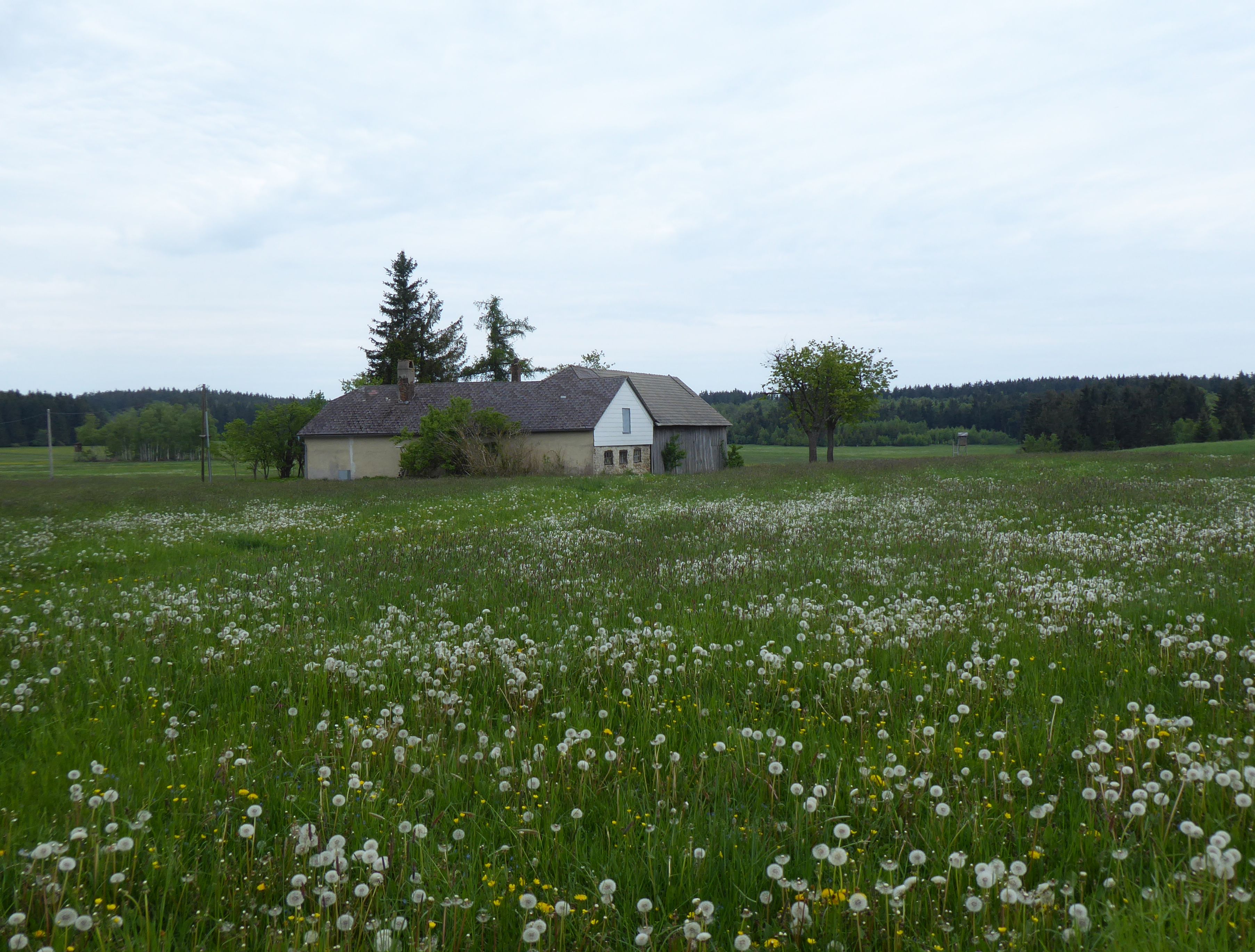 01P1060565 die grosse hochfläche .JPG
